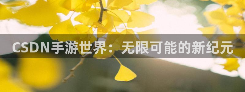 恒盛娱乐下载：CSDN手游世界：无限可能的新纪元