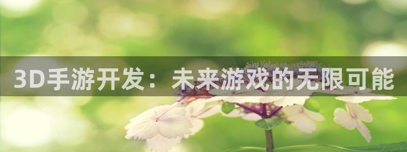 恒盛娱乐平台：3D手游开发：未来游戏的无限可能