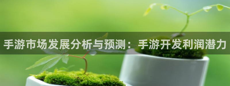 恒盛娱乐app：手游市场发展分析与预测：手游开发利润潜力