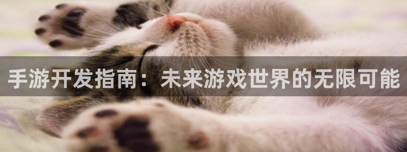 恒盛娱乐注册：手游开发指南：未来游戏世界的无限可能