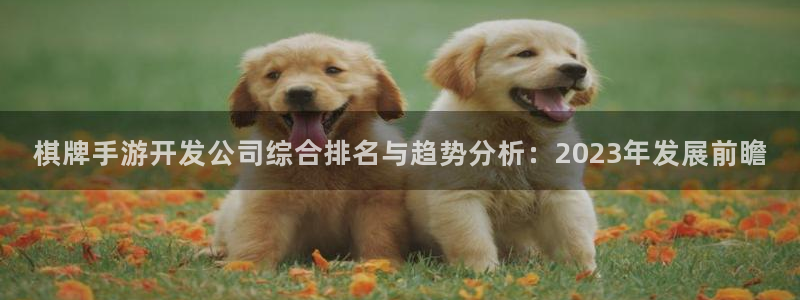 恒盛娱乐：棋牌手游开发公司综合排名与趋势分析：2023年发展