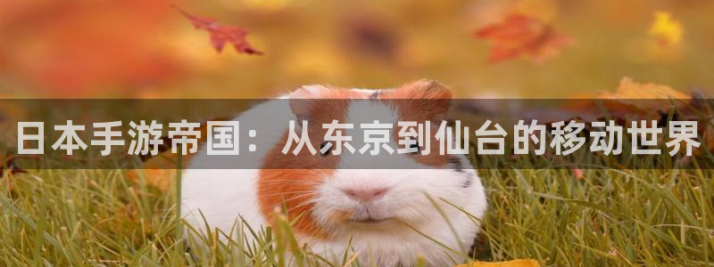 恒盛娱乐注册：日本手游帝国：从东京到仙台的移动世界