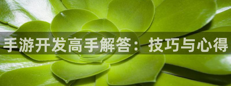 恒盛娱乐平台：手游开发高手解答：技巧与心得