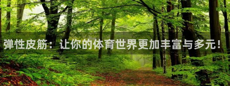 xc体育app官方网站：弹性皮筋：让你的体育世界更加丰富与多元！