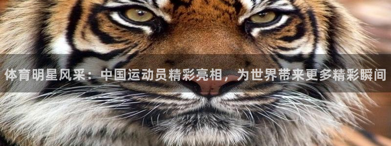 xc体育app官方网站：体育明星风采：中国运动员精彩亮相，为世界带来更多精彩瞬间