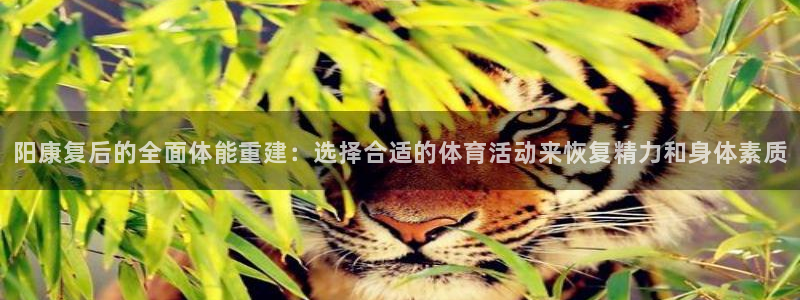 xc体育app官方网站：阳康复后的全面体能重建：选择合适的体育活动来恢复精力和身体素质
